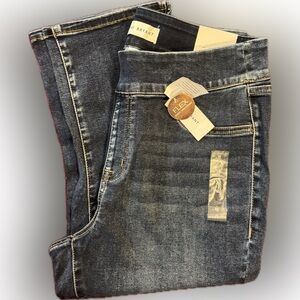 Lane Bryant Medium Blue Relaxed Jeans